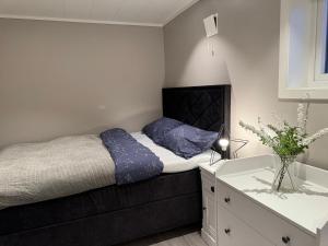 奥达StarView Trolltunga Apartment的一间小卧室,配有一张床和一个梳妆台