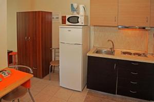 een keuken met een witte koelkast en een wastafel bij Dionysus Apartments & Suites in Ierissos