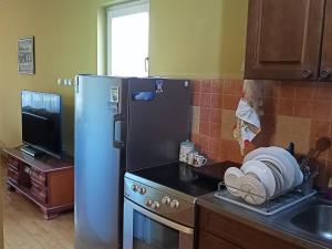 Köök või kööginurk majutusasutuses Apartman Marković