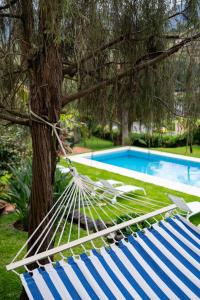 uma rede azul e branca debaixo de uma árvore ao lado de uma piscina em Casa Da Piedade em São Vicente