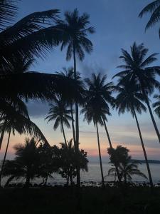Galeriebild der Unterkunft Lily's Beach Bungalows in Koh Rong + 57 Fotos