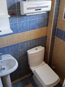 SvešticaにあるApartman Markovićのバスルーム(トイレ、シンク、エアコン付)