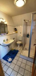 uma casa de banho com um lavatório, um chuveiro e um WC. em Haus Minor em Borkum