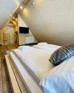 2 łóżka pojedyncze w pokoju z telewizorem w obiekcie Luxury Houses & Apartments Zaliński w Zakopanem