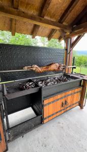 un cane sdraiato sopra una griglia per barbecue di Casa Nuova Tekija - Kladovo a Tekija Altre 37 foto