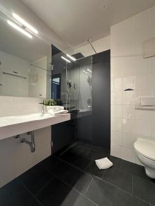a bathroom with a shower and a sink and a toilet at Rheinhessen Inn GmbH in Wörrstadt