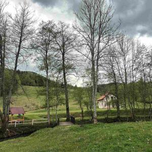 a field with trees and a house in the distance at Camp Krivace in Pljevlja