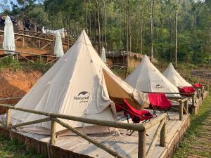 une rangée de tentes avec des chaises rouges dans un champ dans l'établissement Best View Đồng Văn, à Ha Giang