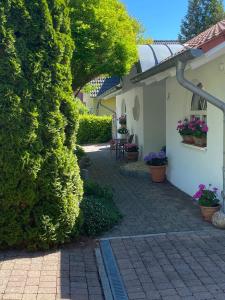 a house with a large green bush next to a walkway at Messewohnung Ferienwohnung in Hildesheim