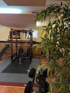 a room with a gym with a plant at Runa´s Hotel in Hallbergmoos