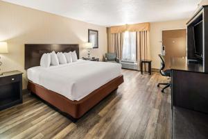 une chambre d'hôtel avec un grand lit et une télévision dans l'établissement Best Western Coral Hills, à Saint George