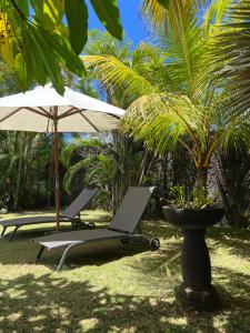 Taman di luar Tropical Villas - Pointe d'Esny
