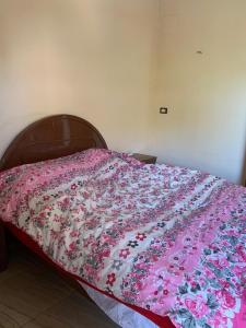 a bed with a pink blanket on top of it at Villa Elhag Nile View in Luxor