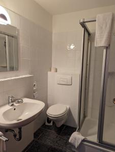 a bathroom with a toilet and a sink and a shower at Sonnenhof in Katlenburg-Lindau