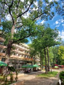 Ośrodek Wypoczynkowo-Hotelowy PRZĄŚNICZKA في لودز: مبنى فيه مظلات خضراء في حديقة