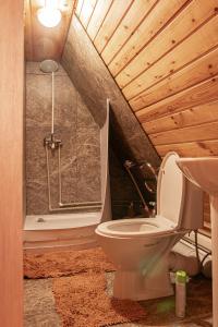 y baño con aseo y ducha. en BOROVOE Country Club en Borovoye