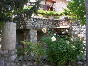 Сад в Medusa House Butik Hotel