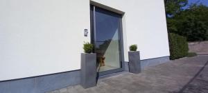 une porte en verre d'un bâtiment avec deux plantes en pot dans l'établissement Luxe Vakantievilla - B&B Blue Garden Vlaamse Ardennen nabij Pairi Daiza, à Grammont