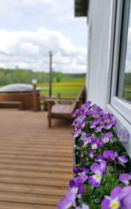 Straupe的住宿－Unique Countryhouse & Sauna in Gauja Valley - Kaķukalns，阳台上的紫色花