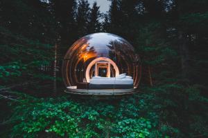 a dome house in the middle of a forest at Buubble Hotel - Hrosshagi in Selfoss