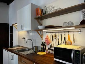 ローマにあるBQA San Crisogono Apartments Rome-Trastevereのシンクと電子レンジ付きのキッチン