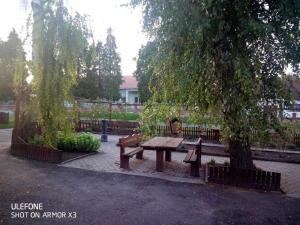 Muskátli Nyaraló 8712 Balatonújlak, 2 Templom utca kép - 2