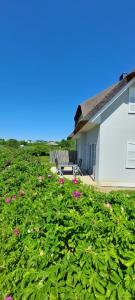 Κήπος έξω από το zwisch Boltenhagen und Pötenitz Ostseeurlaub bis 6 Pers "Alte Liebe"Haus B