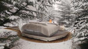 L'établissement Buubble Hotel - Ölvisholt en hiver