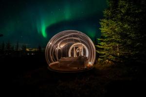 un dôme en verre avec un lit dans un champ sous l'aurore dans l'établissement Buubble Hotel - Ölvisholt, à Selfoss