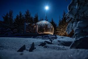 L'établissement Buubble Hotel - Ölvisholt en hiver