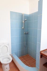 a bathroom with a toilet and a shower with blue tiles at Villa de Palma a Ribeira D.Joao in Figueira da Horta