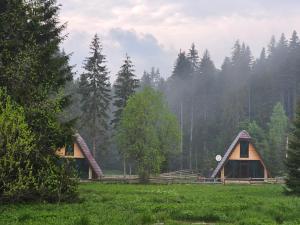 una casa in mezzo a un campo con alberi di Oaza Jela a Mitrovac