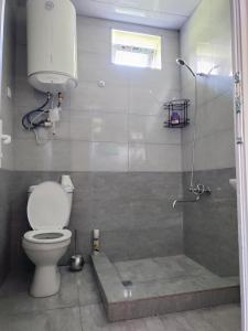 a bathroom with a toilet and a shower at Jibghashvilebi's house in Lagodekhi