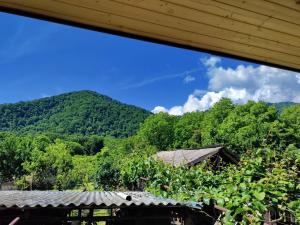 a view of a mountain from a house at Jibghashvilebi's house in Lagodekhi