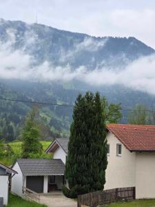 Φωτογραφία από το άλμπουμ του JÄGERWINKL 2 σε Rettenberg