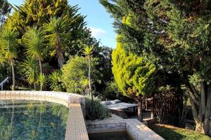 een tuin met een zwembad en een bank en bomen bij Salgadinho Casa de Campo & Selao da Eira Velha in São Teotónio