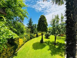 een tuin met bomen en groen gras en een blauwe lucht bij Treekos Suite Hotel in Arnavutköy