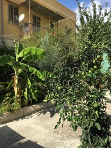 Zahrada ubytování B&B Scala dei Turchi Beach