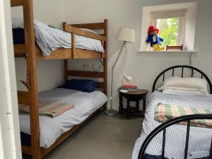 a bedroom with two bunk beds and a window at Rhiwiau Self Catering in Carmarthen