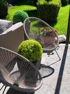 two metal benches with plants in a garden at Pensiunea Simar in Sibiu