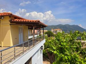 a balcony of a house with a bunch of grapes at Philoxenia guest house in Himare