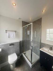 a bathroom with a shower and a toilet and a sink at The White Lion Hotel in Machynlleth