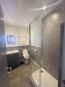 uma casa de banho com um chuveiro, um WC e um lavatório. em The White Lion Hotel em Machynlleth