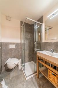 a bathroom with a shower and a toilet and a sink at Chesa La Giunfra - Celerina in Celerina