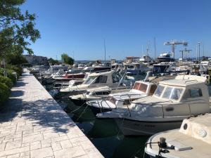 Naturlandskabet i nærheden af lejligheden