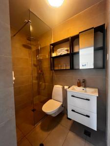 a bathroom with a toilet and a shower and a sink at Hotel Skógá by EJ Hotels in Skogar