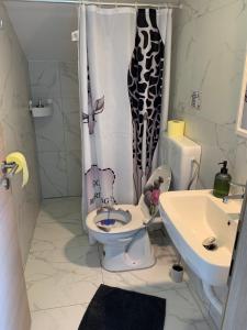 リュブリャナにあるL&G ROOMSのバスルーム(トイレ、洗面台付)