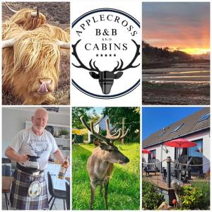 un collage de fotos con un hombre en kilt y un ciervo en Applecross B&B & Cabins On NC500, 90 mins from Skye en Applecross