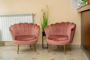 two pink chairs in a room with a plant at Lucky Hotel in Veliko Tŭrnovo