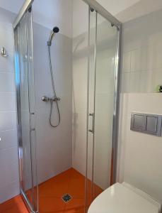 ウェバにあるDamrokaのバスルーム(シャワー、トイレ付)